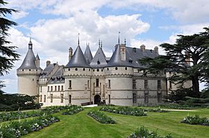 Chaumont sur Loire