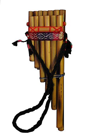 ChileanPanpipes-cutout