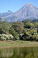 Colima Volcanoes from Carrizalillos Lagoon