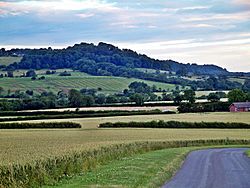 Edge Hill from Burton Hill Farm - geograph.org.uk - 1059782