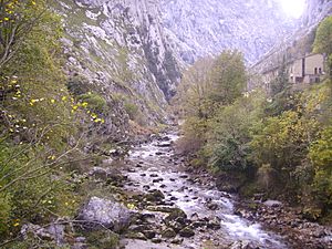 Garganta del Cares