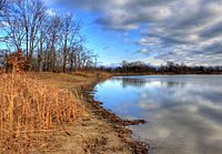 Gfp-illinois-beach-state-park-left-shoreline.jpg