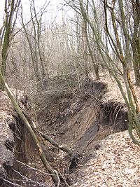 Gully in the Kharkov region