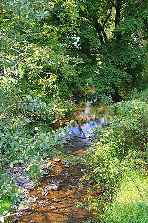 Hallowing Run looking upstream