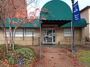 Hawkinsville City Hall