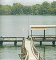 Homemade pier on Lake Bruin