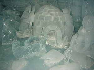 Ice cave