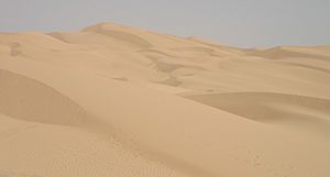 Imperial sand dunes