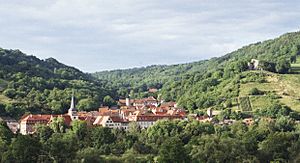 Ingelfingen Suedhang.jpg