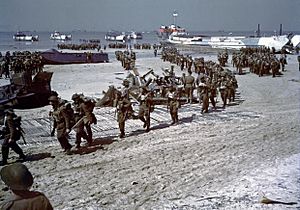 Juno Beach Canadian Reinforcements