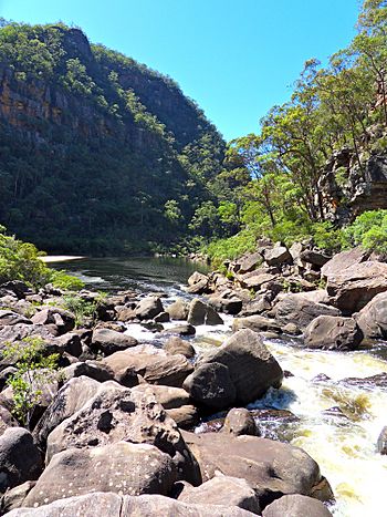 King Rapids, Colo River, NSW, Australia.jpg