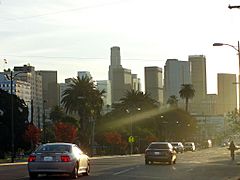 MacArthur Park Skyline