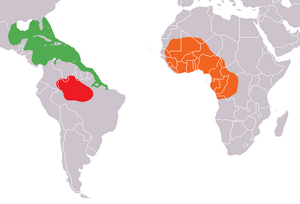 Mapa distribuicao Trichechus