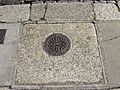 Mountjoy Square, Dublin, Ireland (ornate coal hole) 001