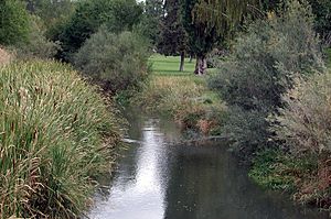 Ochoco Creek in Prineville.jpg