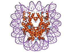 PDB 1kx3 EBI