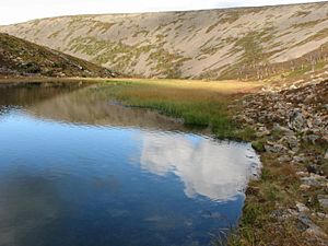 Paratiisikuru lake 1