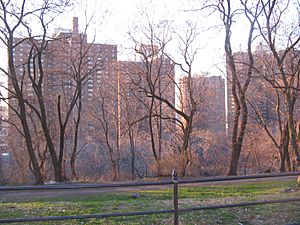 Polo-grounds-cougans-bluff