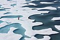 Ponds on the Ocean, ICESCAPE