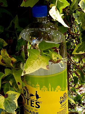 R Whites lemonade (2).JPG