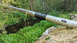 San Mateo Creek with HP gas main