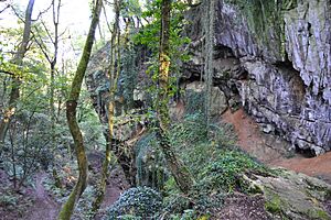 Schmerling Caves02