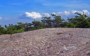 Schunemunk summit