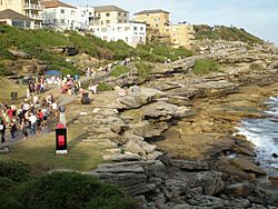 Sculpture by the Sea 01