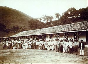 Slaves in coffee farm by marc ferrez 1885