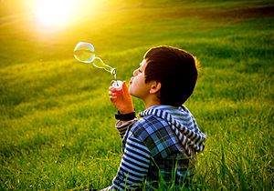 Soap bubbles in Algerian grassland