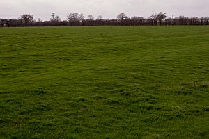 Stony Stratford Ridge & Furrow Field