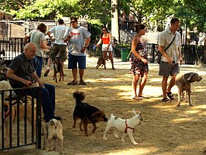 Tompkins Square Big Dog Run