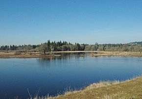 Tualatin River NWR pond 2.JPG