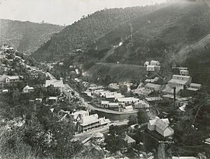 Walhalla 1910 view4