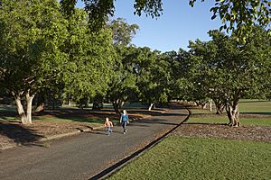 Yeronga Memorial Park.jpg