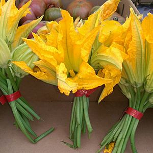 Zucchini flowers - stierch.jpg