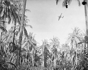 013954 wirraway spotting over Buna