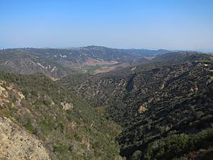 Alisocanyon