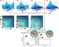 Alternative stable states, critical transitions, and the direction of critical slowing down