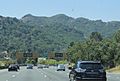 Berkeley Hills Orinda