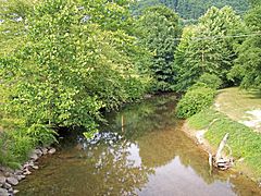 The Birch River, with trees to the left and a clearing to the right