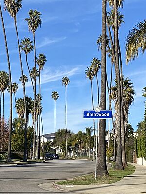 Brentwood neighborhood sign