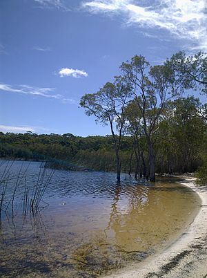 Brown Lake