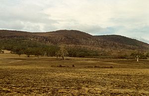 Burnt paddocks and bushland at Mount Macedon after the 1983 Ash Wednesday bushfires