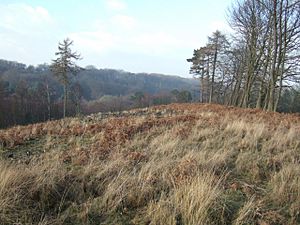 Coldharbour Common - geograph.org.uk - 111593.jpg