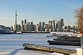 Downtown from Ward's Island (11741021983)