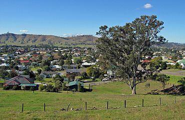 Dungog 9022.jpg