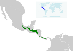 Eupherusa eximia map.svg