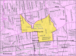 U.S. Census map