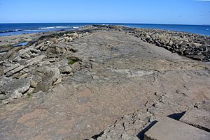 Filey Brigg 070815